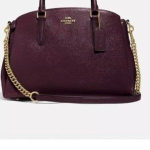 Coach Sage Carry All